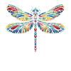 dragonfly dragonflies insects nature