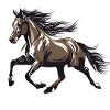 Pferd
