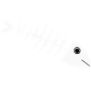 Fischgräte Fisch angeln