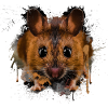 Rodent Mouse Lover Pet Mouse