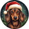 Noël teckel