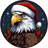 Natale dell'aquila