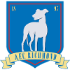 Ted Lasso A.F.C Richmond Small Logo