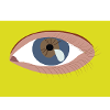 Eye