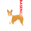 Chien Basenji Us drapeau