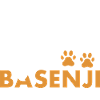 Dog Loved By A Basenji