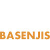 Café Chien Et Basenji