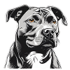 Staffordshire Terrier