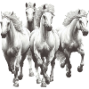 Chevaux