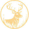 Der Stolze Waldhirsch