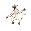 Kawaii Sifaka