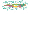 Aborigines