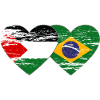 Palestine Brazil Flag Heart Used