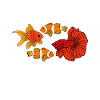 Aquaristics, Fish farming, Aquarists