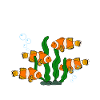 Aquaristics, Fish farming, Aquarists