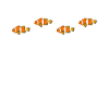 Aquaristics, Fish farming, Aquarists