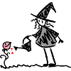 Witch Plant