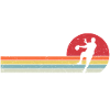 Retro Handball