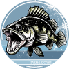 Zander Angeln Raubfisch Fisch