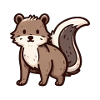 Brown cute skunk