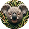 Koala in animation style