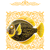 Flunder Angeln Fischfänger Sommerflunder