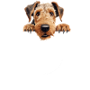 Dog Airdale Terrier