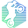Motocross Freestyle Motocross Dirt Biker
