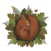 sleeping squirrel