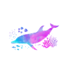 Dolphin Dolphin Whisperer