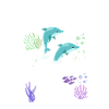Dolphin Crazy Dolphin Lady