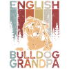 Bouledogue anglais grand-père