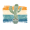 Plant, Desert, Water, Prick