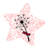 Stern Pusteblume Hoffnung
