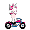 MOTORRAD - BIKER - EINHORN