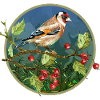 Bunter Vogel