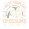 Opossum Possum Animal