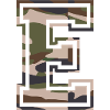 E, Monogram, Camouflage Green-Brown