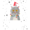 Anti Noël
