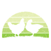 Poule retro poules