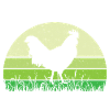 Rooster