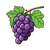 Grapes Symbol