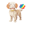 Poodle Cute Rainbow Fart