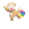 Wheaten Terrier Drôle Rainbow Pet