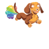 Teckel Teckel Arc-en-ciel Pet
