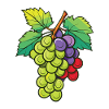 Symbole de fruits de raisins