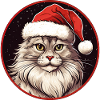 Cat Christmas