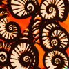 ESCARGOT
