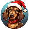Noël teckel