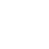 Irony Princess